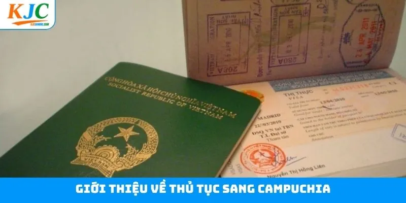 Tìm hiểu cụ thể về các thủ tục cần thực hiện Tìm hiểu cụ thể về các thủ tục cần thực hiện